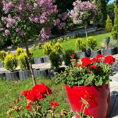 Arkadia * מארנגובו