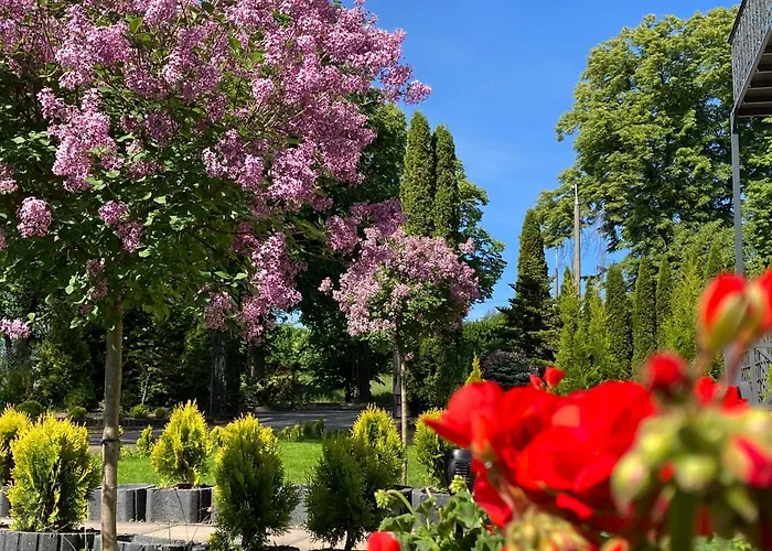 Apartment Arkadia Mragowo